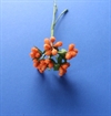 Et bundt med små orange dekorations sukker/frost bær. 